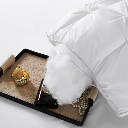 2-Piece Soft Sleep Supportive Pillow Set